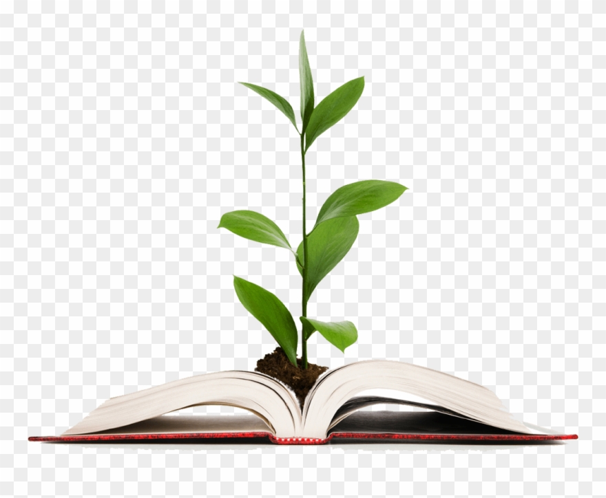 Sensory Solutions Image Freeuse Library - Knowledge Clipart