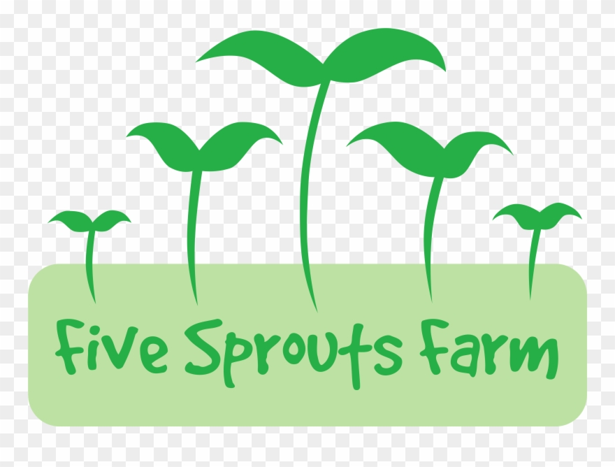 Download Sprout Clipart Leaf And Use In Presentations - Assface - Png Download