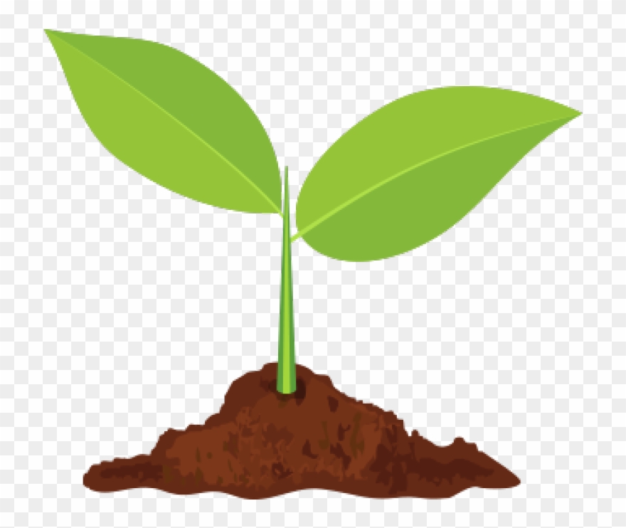 Sprout Slider - Illustration Clipart