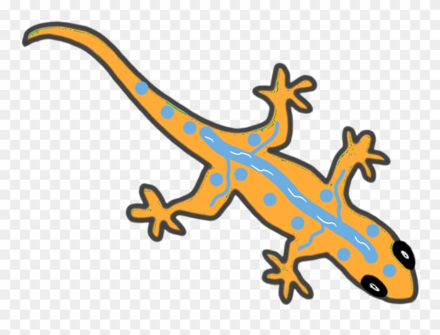 Gecko Clipart Easy - Gekkonidae - Png Download