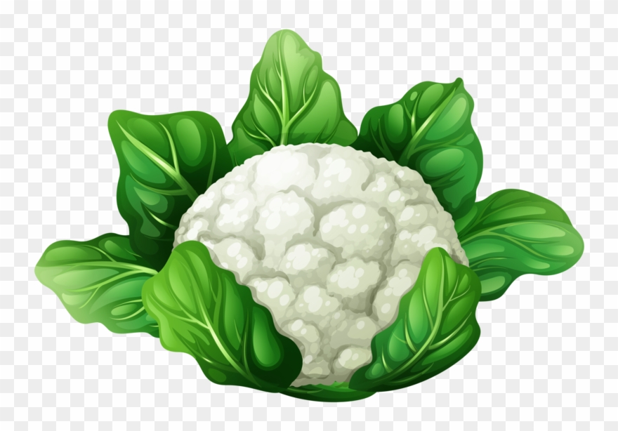 Cauliflower - Vegetables White Background Clipart