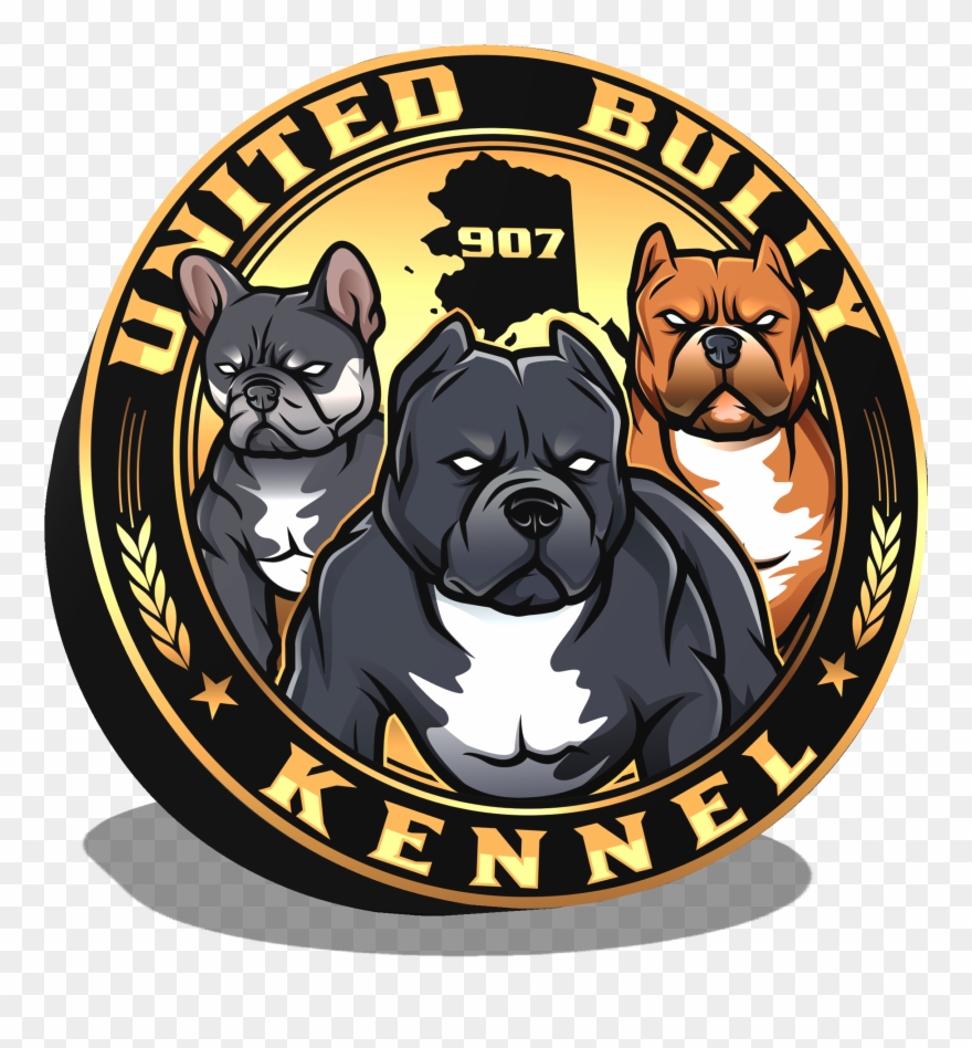 Info@unitedbully - Org - Vector Perros American Bully Clipart