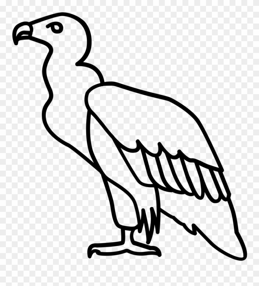 Condor - - Imagenes De Buitre Para Dibujar Clipart