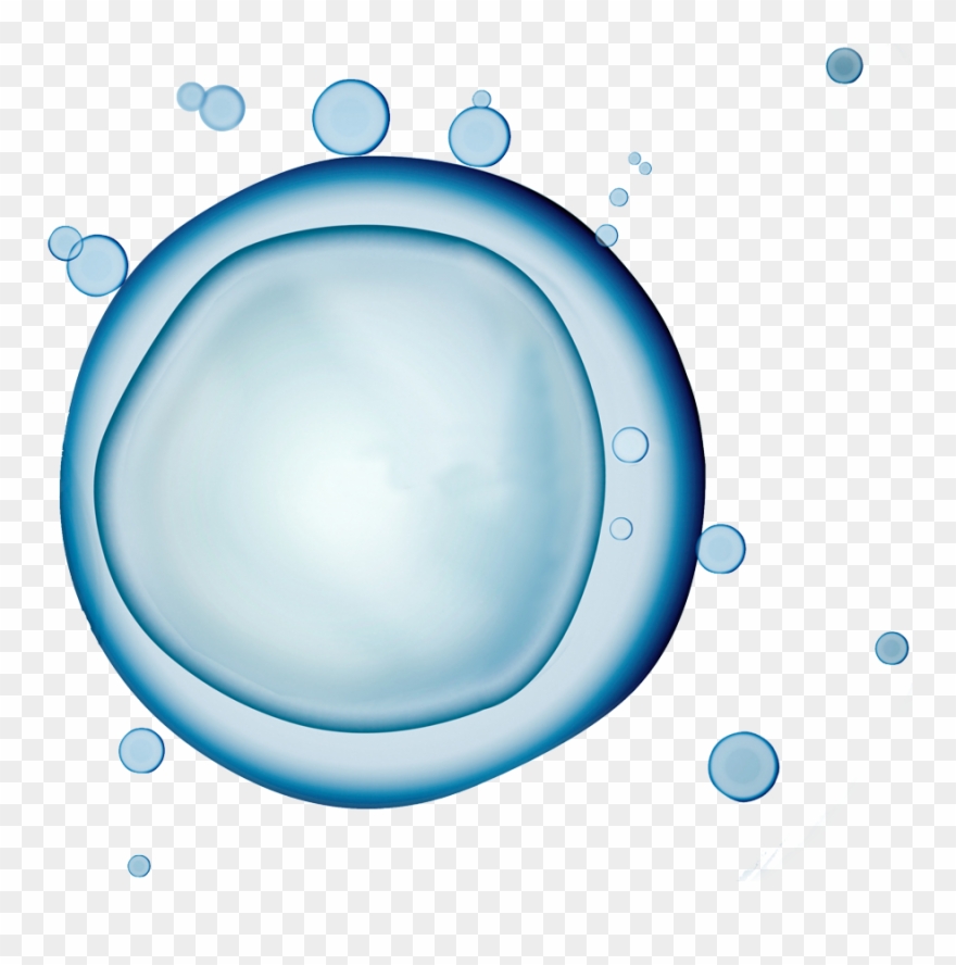 Gesundheit In Der Zelle - Circle Clipart