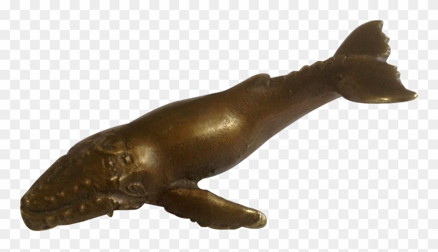 Sperm Whale Clipart Vintage - Humpback Whale - Png Download