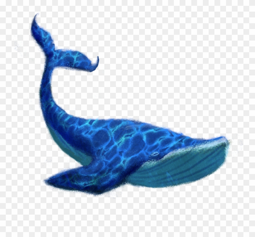 1200 X 800 7 - Transparent Background Blue Whale Png Clipart