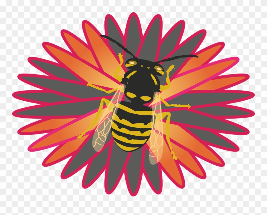 Vector Graphics,free Pictures, Free Photos, - Vector Graphics Clipart