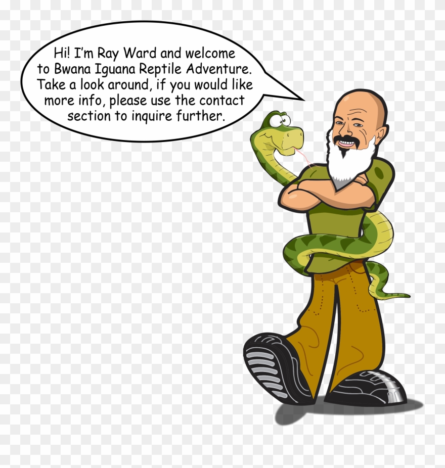 Copyright © 2019 Bwana Iguana Reptile Adventure - Cartoon Clipart