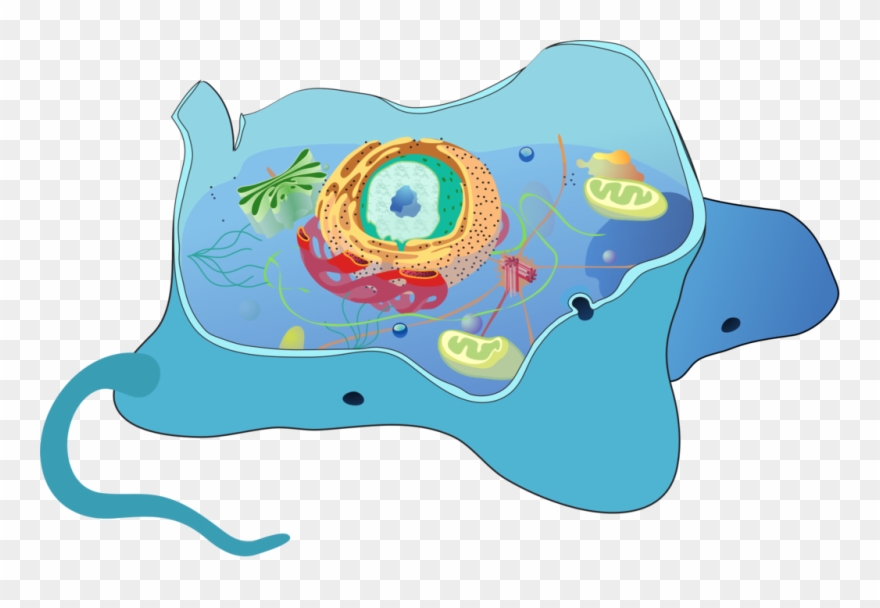 Location Clipart