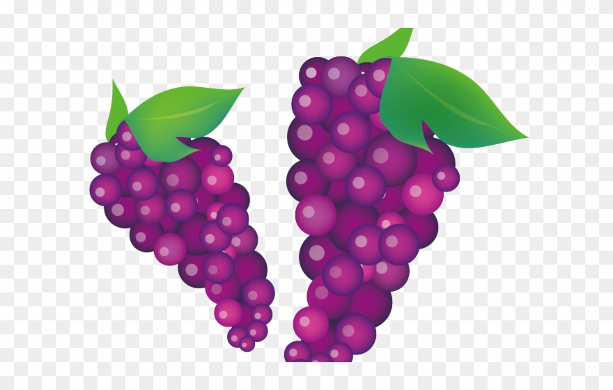 Grape Clipart Violet - Grape Vector - Png Download