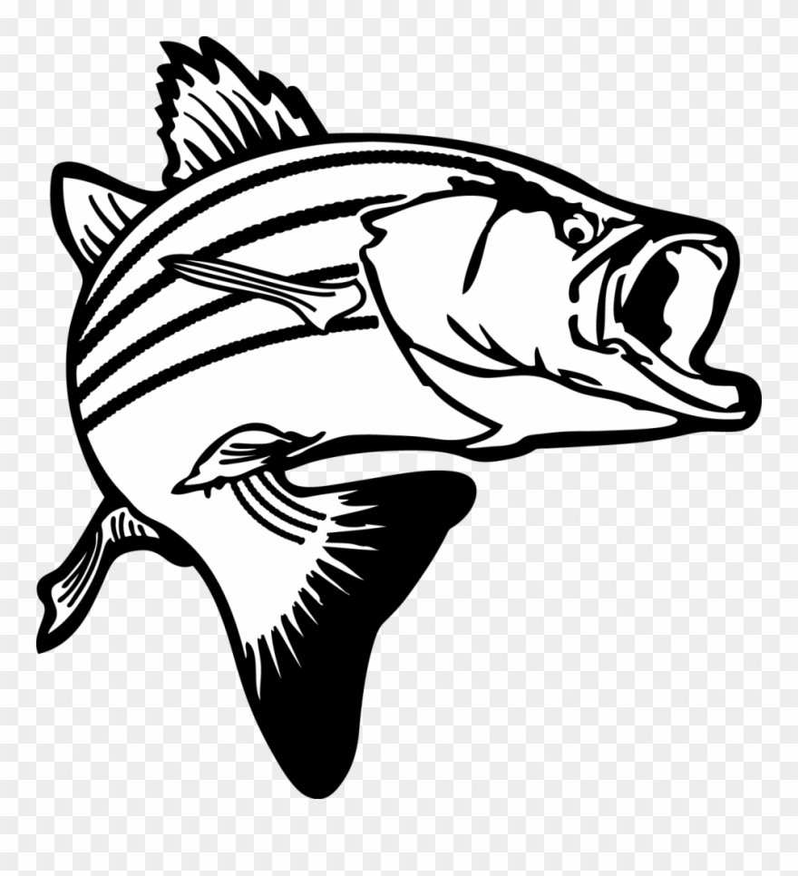 Special Fish Images Free Clip Art Jumping Bass Clipart - Black And White Fishing Clipart - Png Download