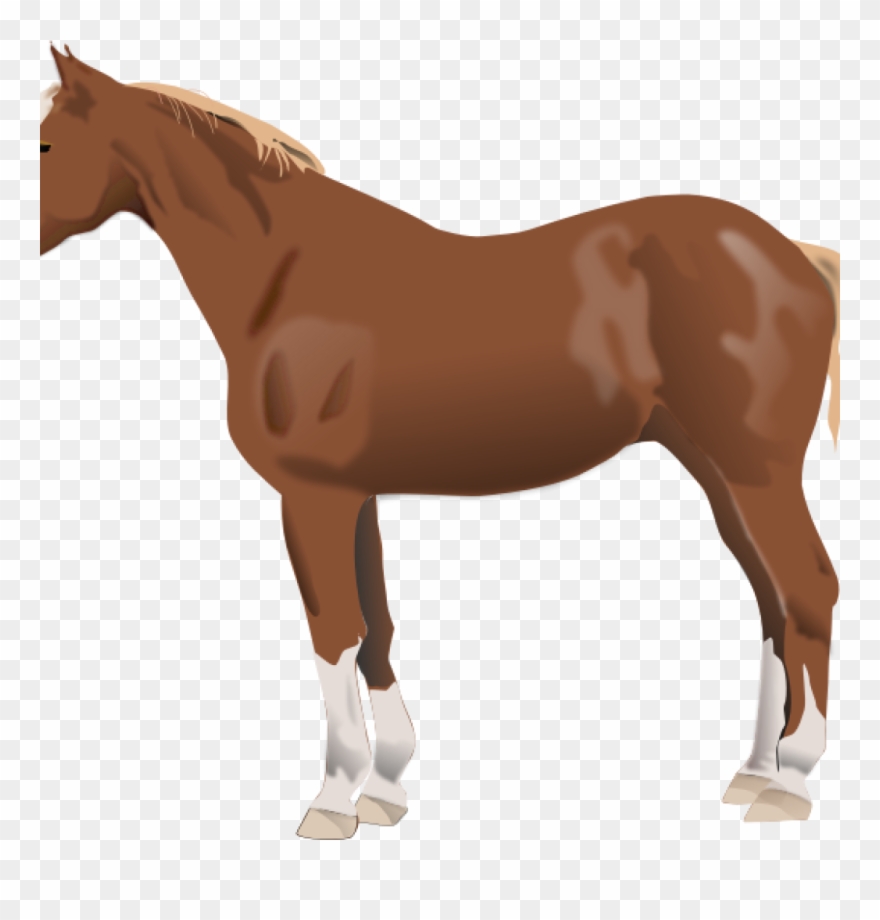 Horse Clipart Ba Horse Clipart Download Horse Clip - Animales De Granja Caballo - Png Download