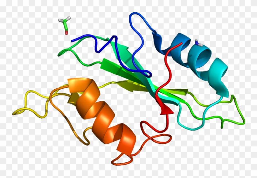 Protein Itk Pdb 1lui No Fog - Graphic Design Clipart
