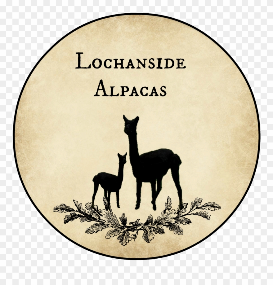 Deer Clipart