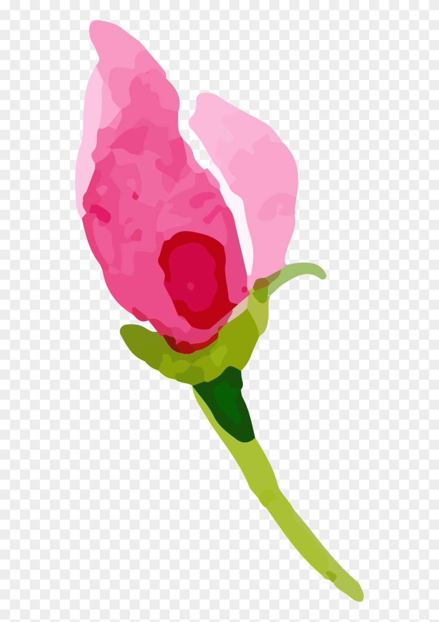 Share This Article - Garden Roses Clipart