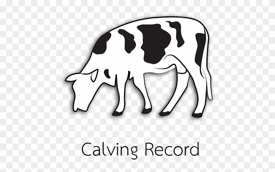 Cow Gif Transparent Clipart