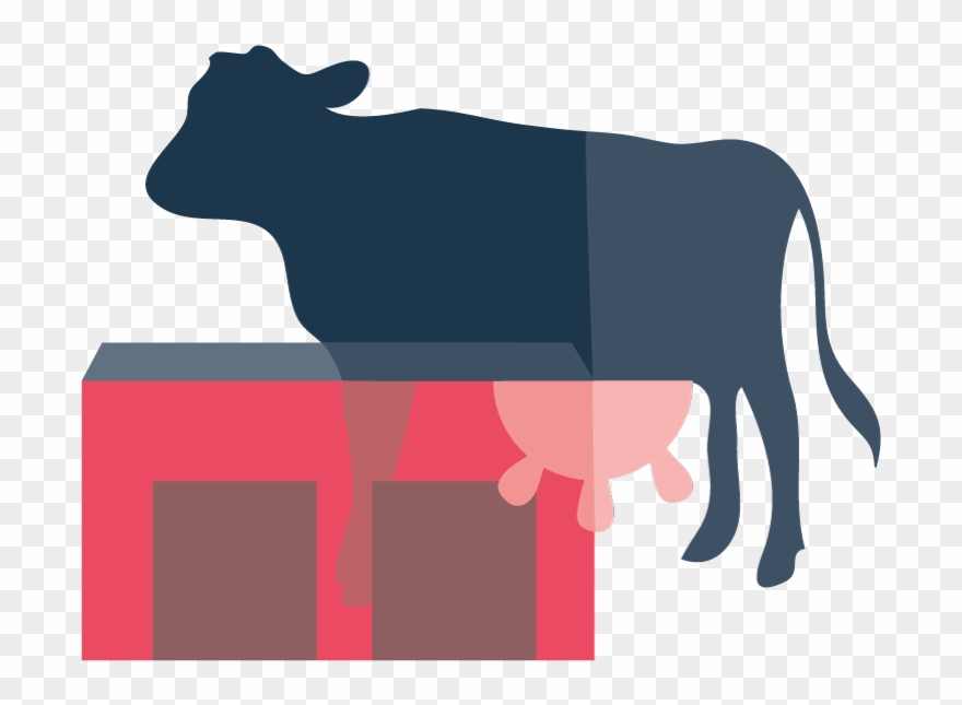 The Unh Organic Dairy Research Farm, Opened In 2005, - Dairy Cow Clipart