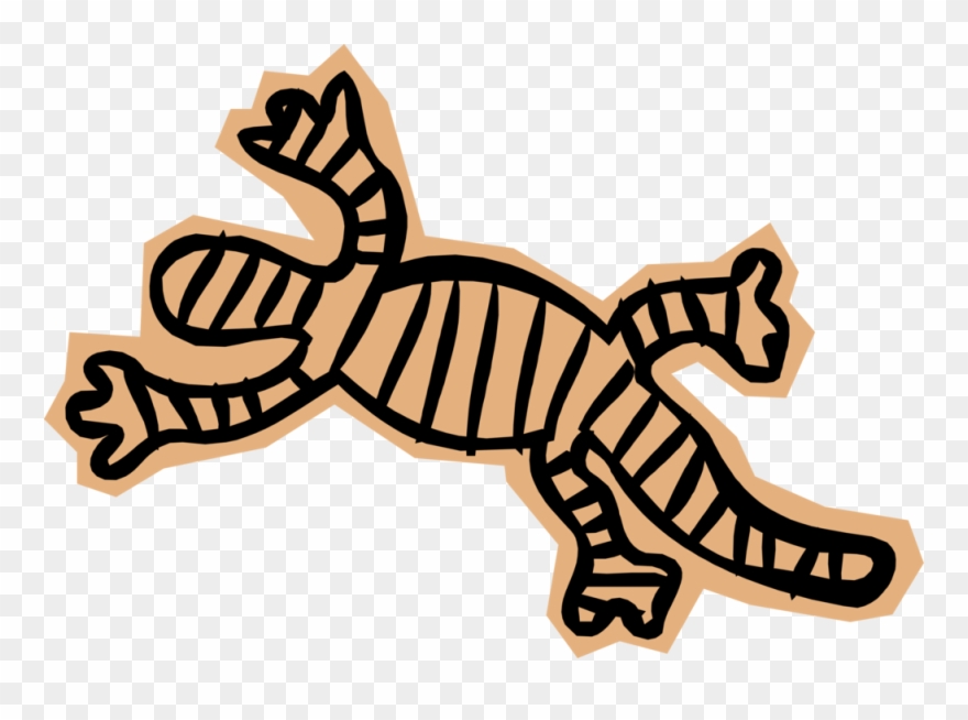 Vector Illustration Of Salamander Lizard-like Amphibian - Illustration Clipart