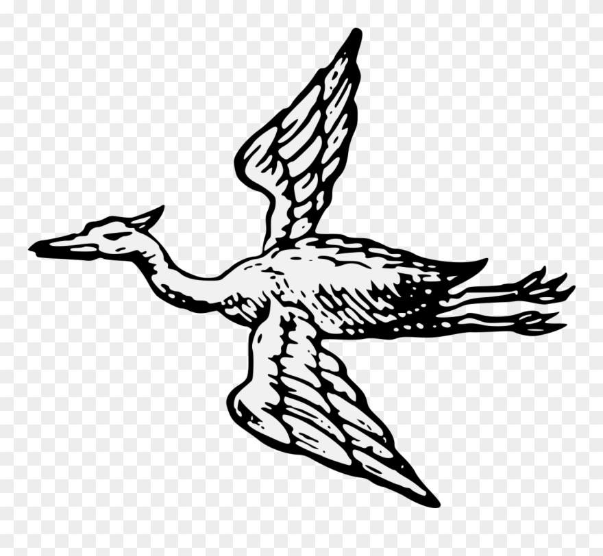 Pdf - Illustration Clipart