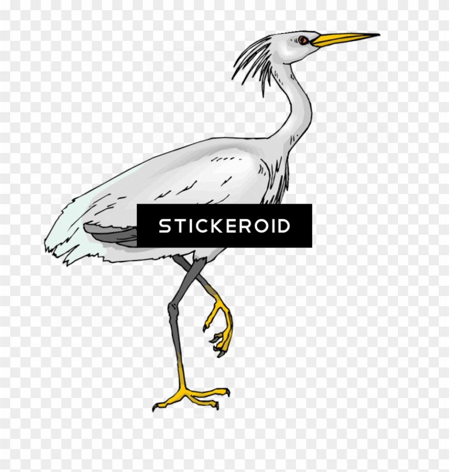 Heron Birds - Achieve The Core Clipart