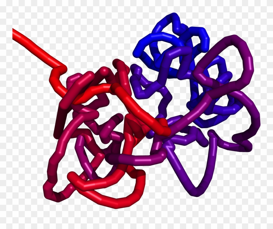 Multidimensional Scaling Clipart