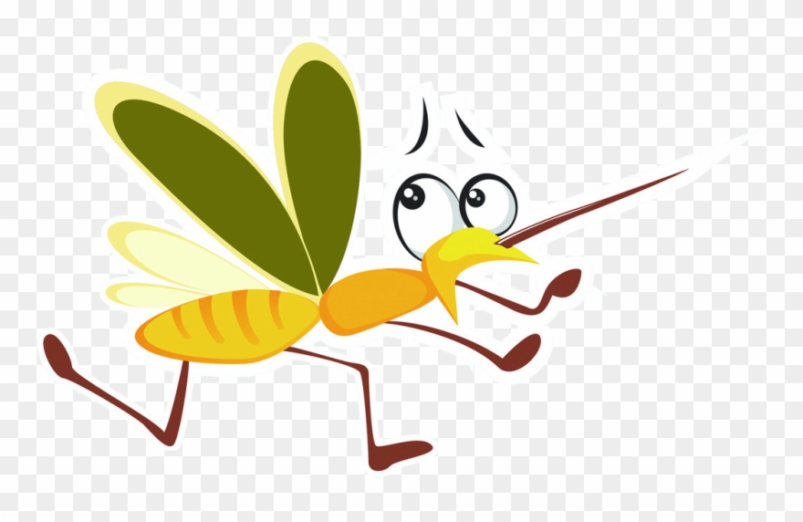 Bloodsucking Mosquitoes Cartoon - Mosquito Cartion Clipart Png Transparent Png