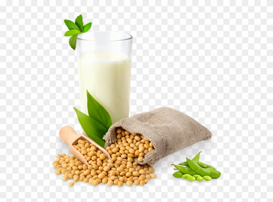 Soybean Png Free Image - Soy Png Clipart