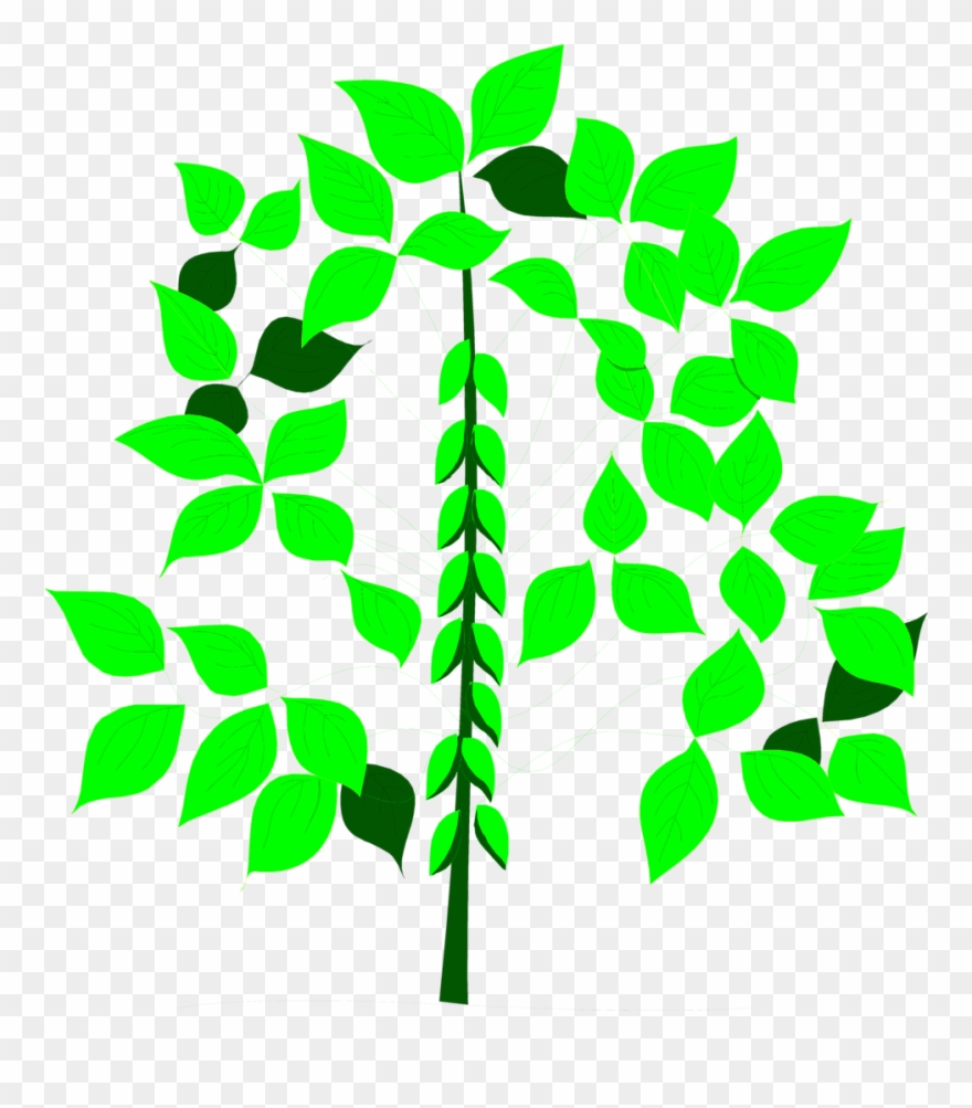 Soy Bean Free Stock Photo Illustration Of - Soy Plant Clipart