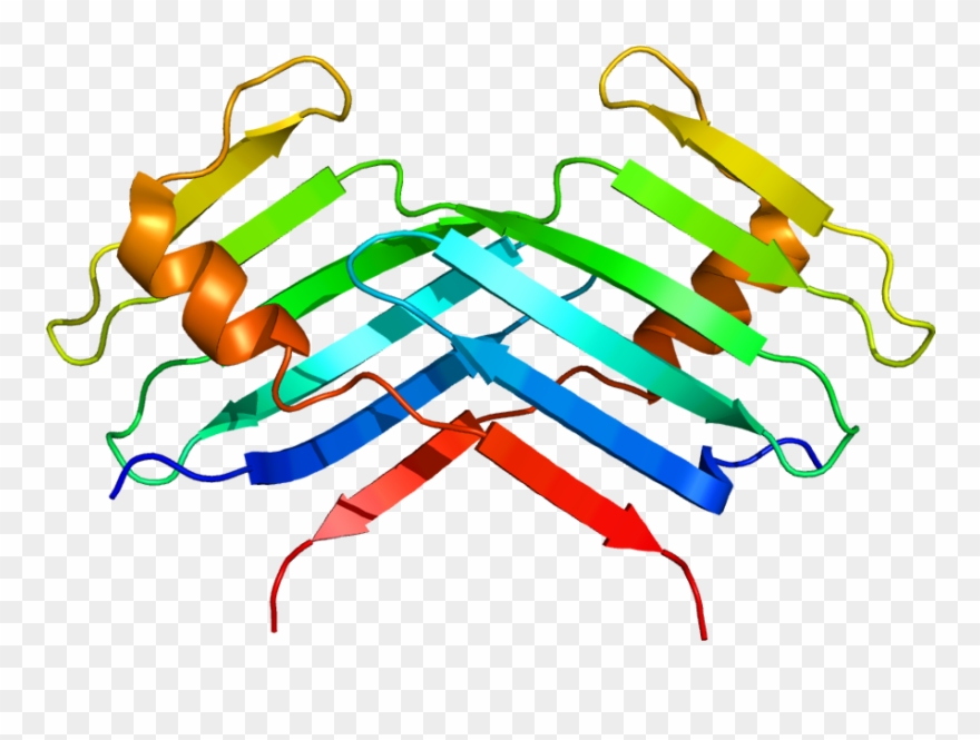 Serine/threonine Protein Kinase Plk4 Also Known As - Plk4 Protein Clipart