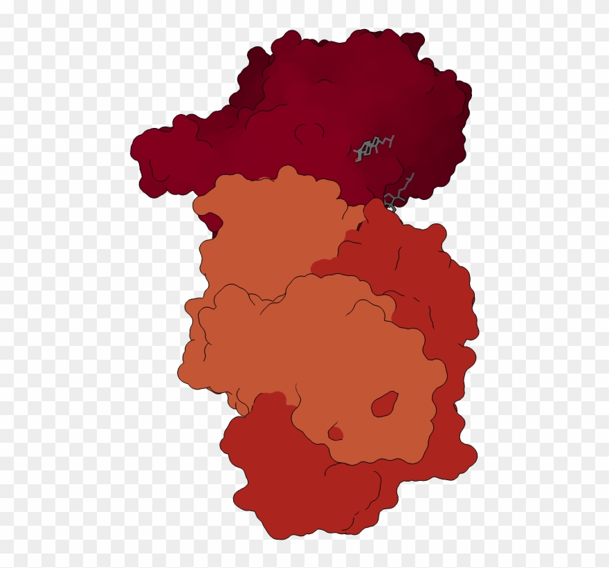 Flat Surface Display - Illustration Clipart