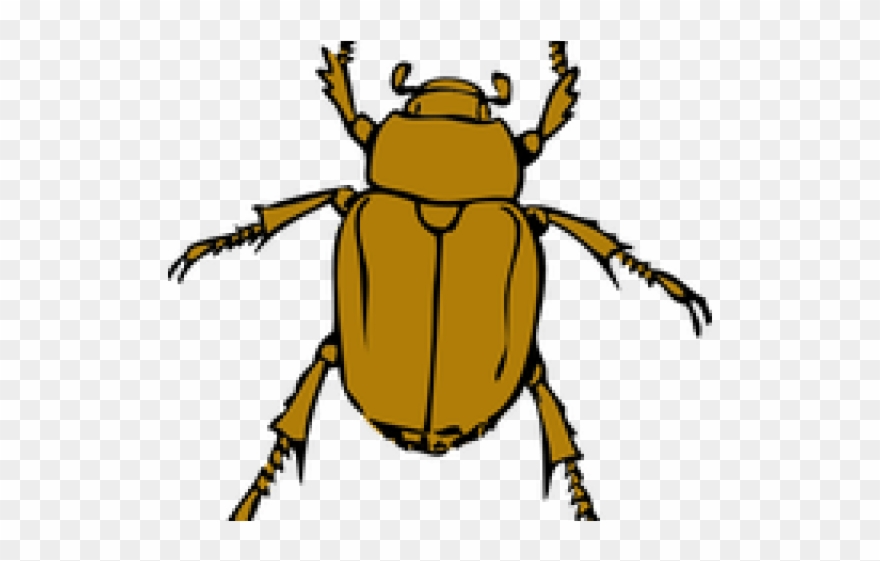 Dead Bug Cliparts - Transparent Beetle Clipart - Png Download