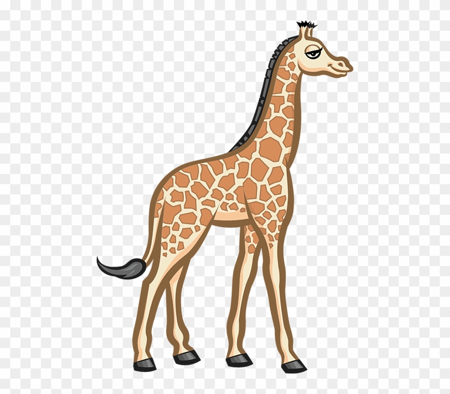 Giraffe Clipart
