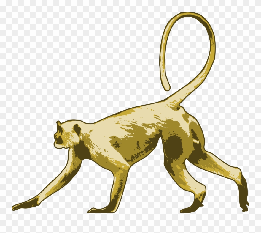 Monkey Hd Png - Icon Clipart