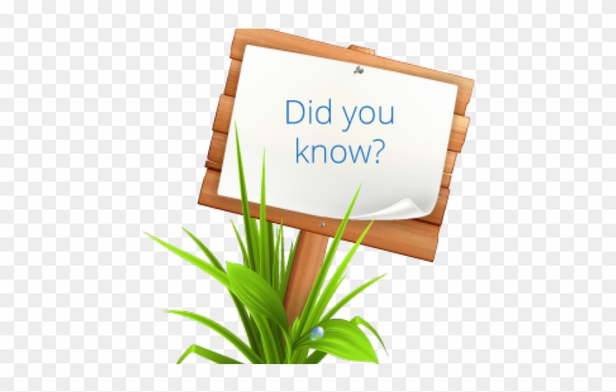 Dirt Clipart Terrestrial Plant - Dibujo Madera Carteles Png Transparent Png