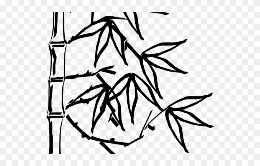 Drawn Bamboo Simple - Bamboo Leaf Clipart Black And White - Png Download