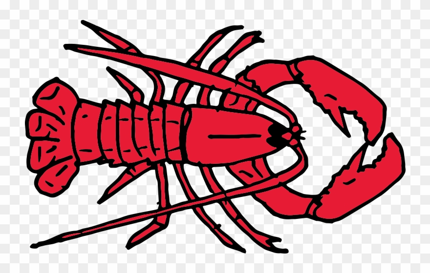 Free Crayfish Clipart - Seafood Boil - Png Download
