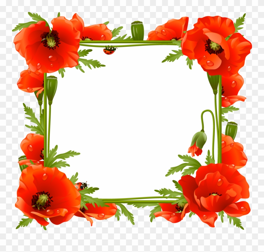 Flower Frame - Poppies Frame Clipart