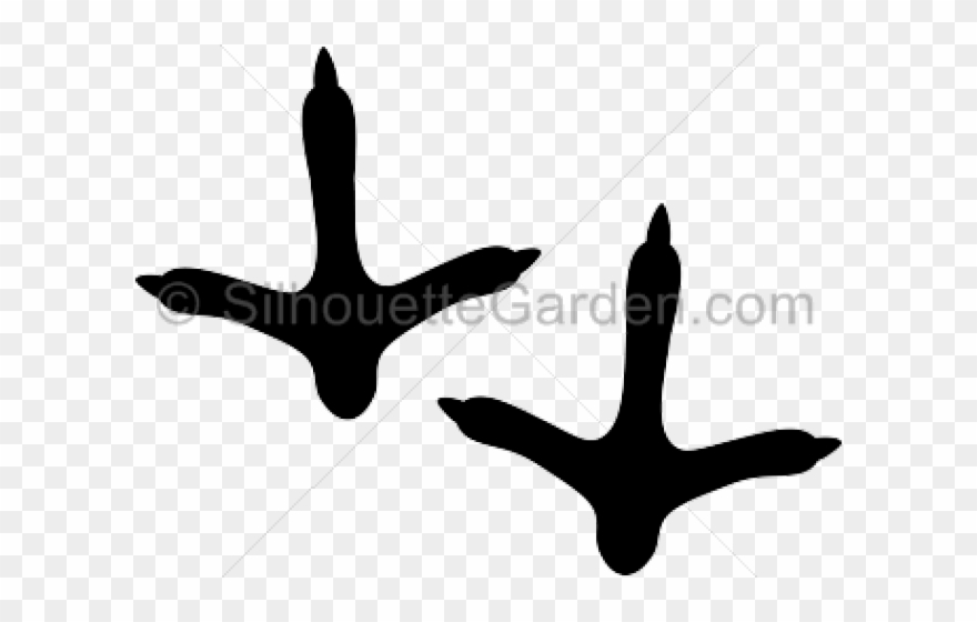 Turkey Bird Clipart Turkey Foot Turkey Feet Clip Art Png Download