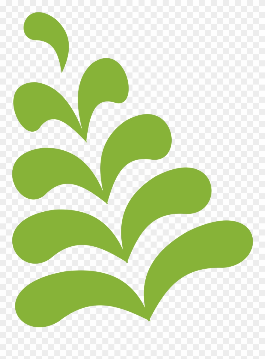 Which Beach Is Best For Your Honeymoon Style - Illustration Clipart