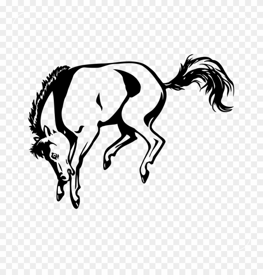 Bronco Clip Art - Png Download