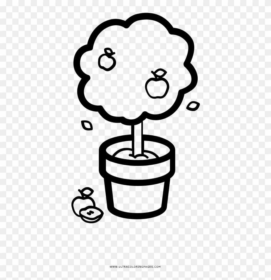 Apple Tree In A Pot Coloring Page - Cartoon Clipart