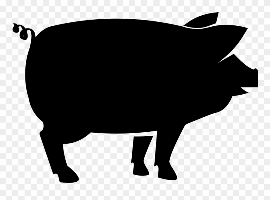 Png File - Domestic Pig Clipart