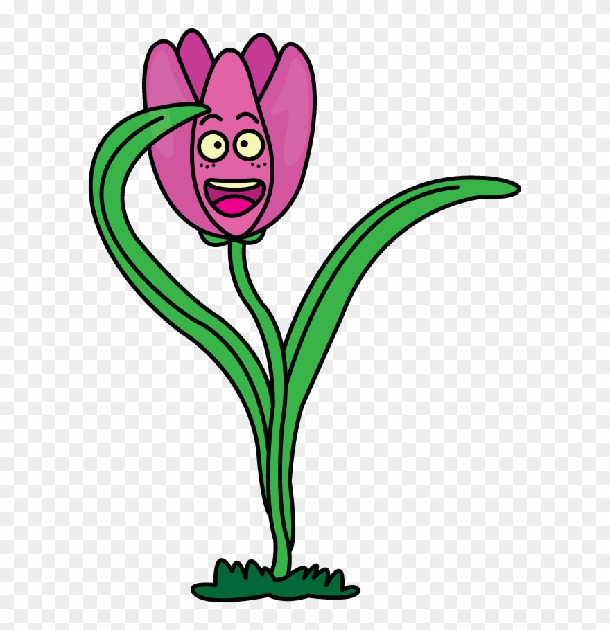 Jpg Royalty Free Cartoons Drawing Flower Tulip Drawing Cartoon Clipart 320117 Pinclipart