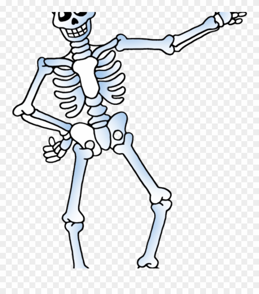 Skelton Clipart Free Skeleton Clipart Public Domain - Cute Skeleton Clipart - Png Download