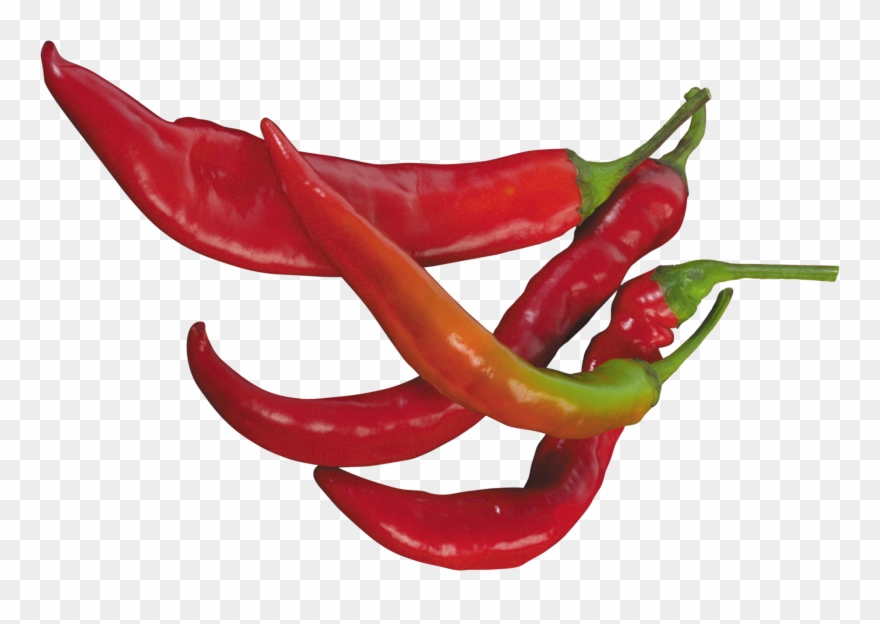 Serrano Pepper Cliparts - Chili Pepper - Png Download