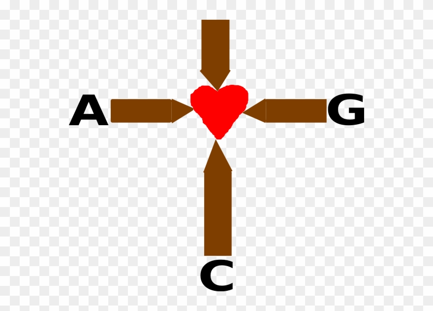 Clip Art - Png Download