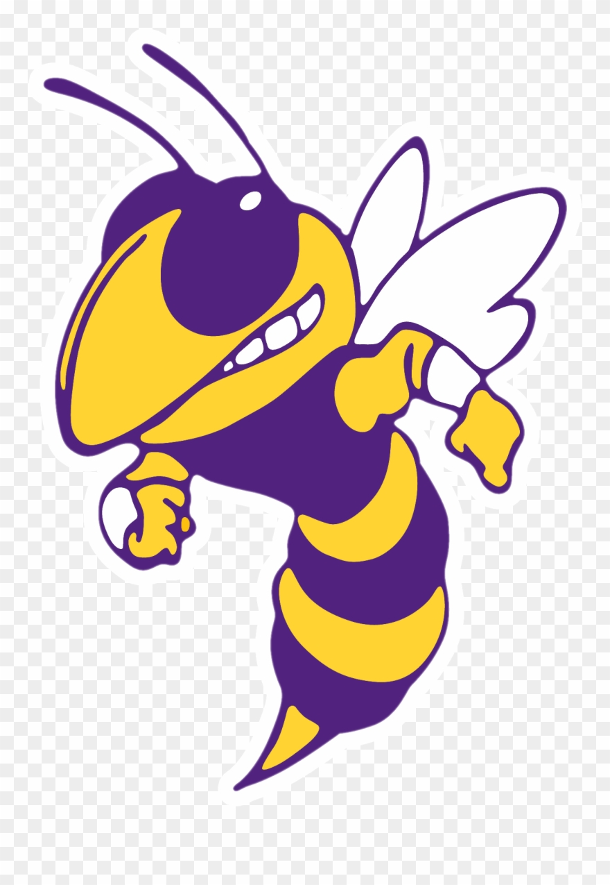 Greenville Team Home Jackets - Blue And Yellow Hornet Clipart