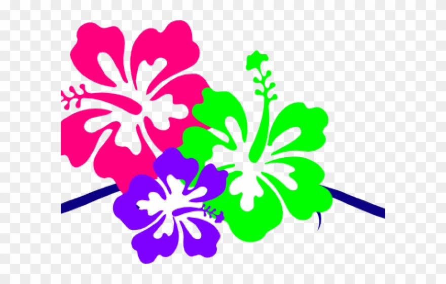 Hibiscus Clipart Small - Hawaiian Clipart Border Design - Png Download