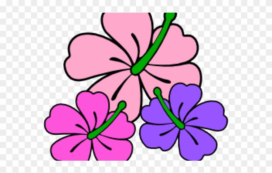 Hibiscus Clipart Themed - Clip Art - Png Download
