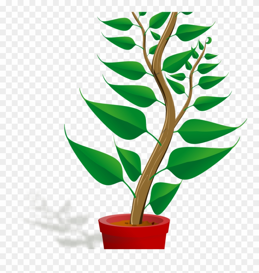 Clip Art Mehmetcetinsozler Com Popular Categories Love - Getting To Know Plants - Png Download